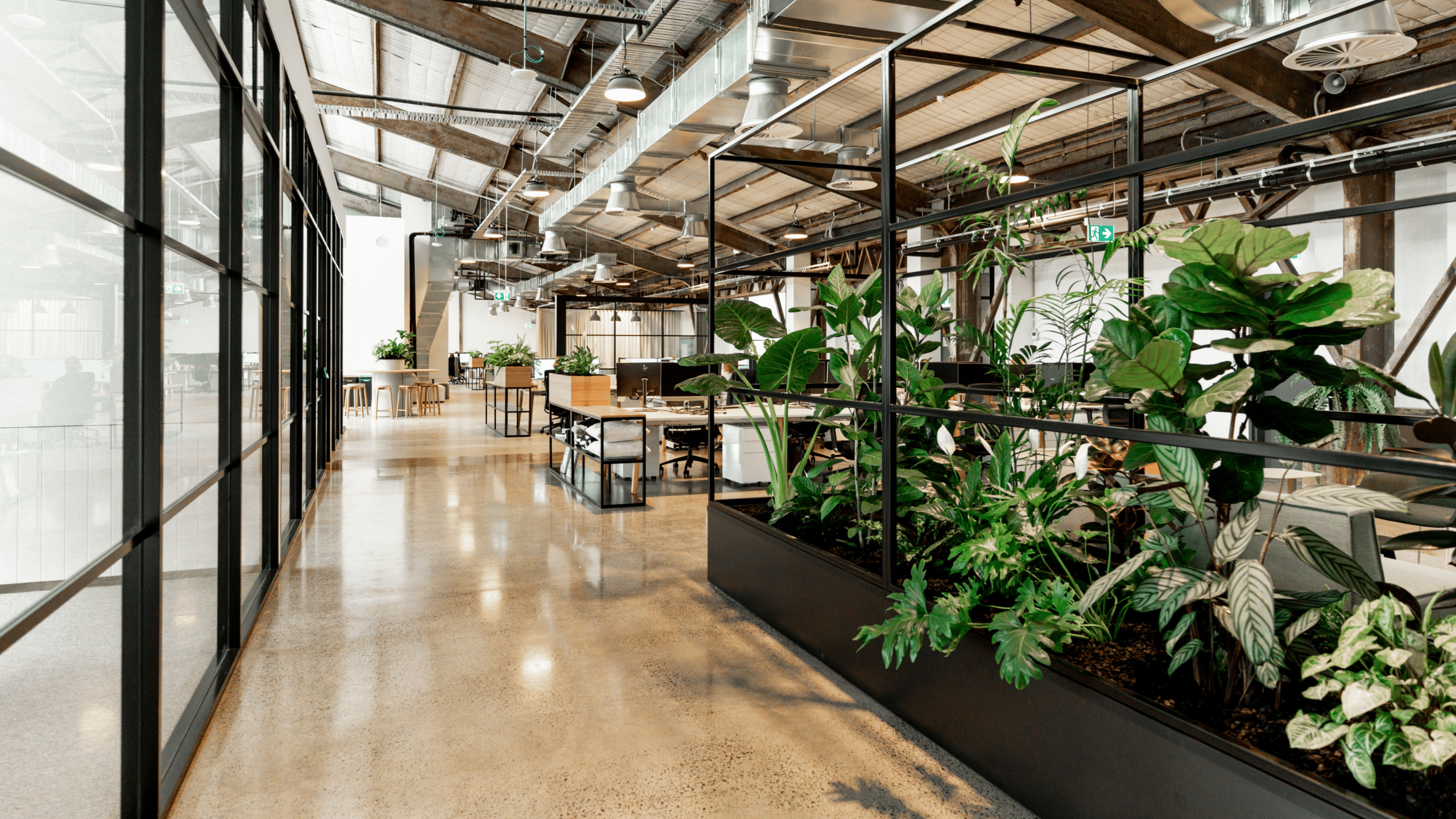 Office with many natural elements like plants, timber and stone.